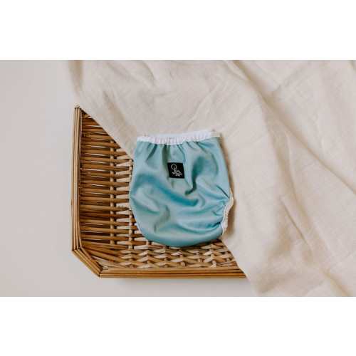 Dino Diapers Mist Newborn Reusable Cloth Diaper Cover*