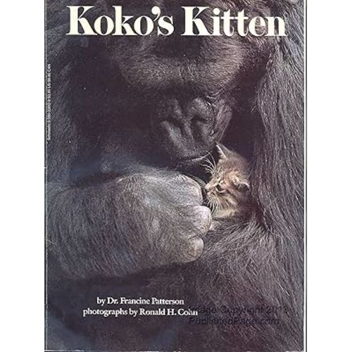 Koko's Kitten Book
