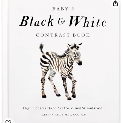 Baby's Black and White Contrast Book: High-Contrast Art for Visual Stimulation at Tummy Time (Our Little Adventures Series)