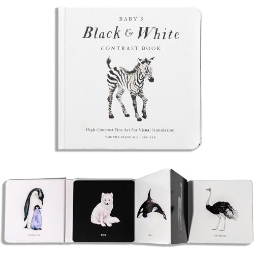 Amazon.com: Baby's Black and White Contrast Book: High-Contrast Art for Visual Stimulation at Tummy Time (Our Little Adventures Series): 9781941325971: Paige, Tabitha, Paige Tate & Co.: Books