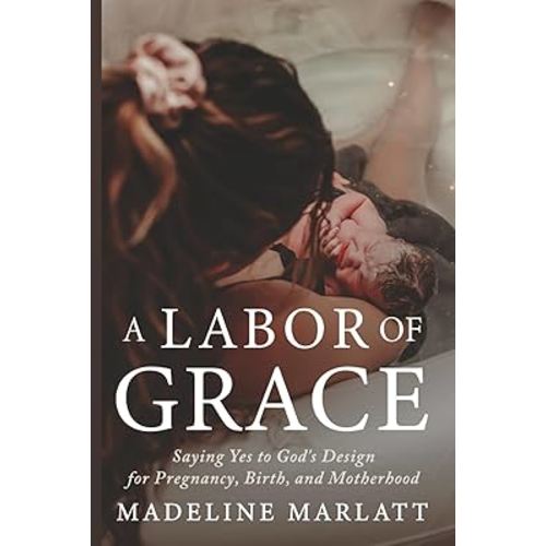A Labor of Grace: Saying Yes to God's Design for Pregnancy, Birth, and Motherhood