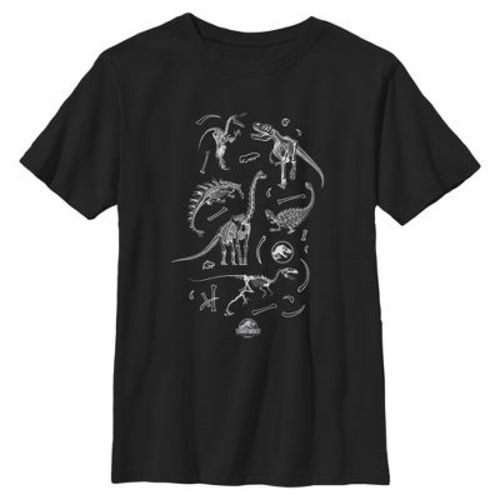 Boys Jurassic World Fossil Collage T Shirt - Black - Large