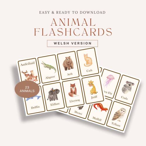 Welsh Animal Flashcards Downloadable