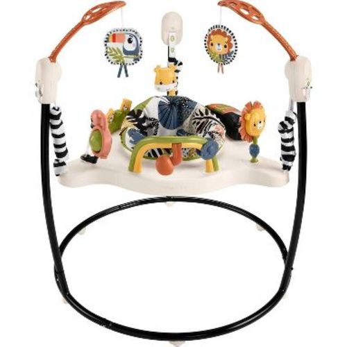 Fisher-Price Baby Bouncer Palm Paradise Jumperoo Activity Center