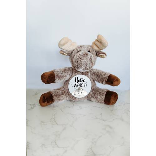 Baby Milestone Markers, Milestone Sign, Personalized Stuffed Animal, Monthly Milestones, Moose stuffed animal, Month Milestone Baby
