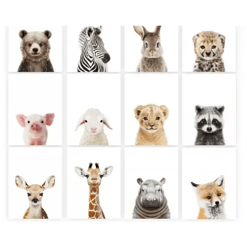 8x10 animal prints for nursery