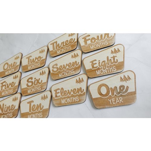 Baby Monthly Milestone Markers, Wood Milestone Disc, Baby Photo Props, Baby Milestone Blocks, Mountain Baby's First Year, National Park Baby