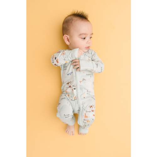 World Explorer Bamboo Sleeper