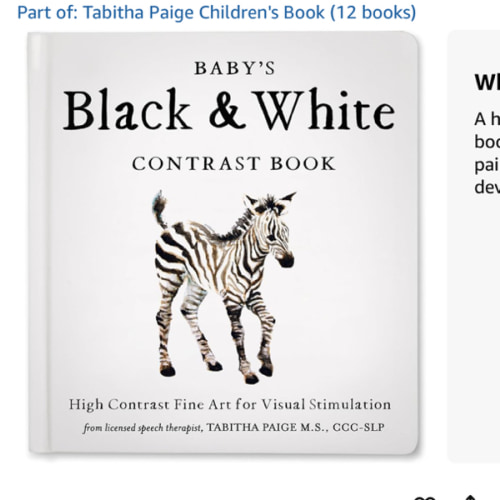 Baby's Black and White Contrast Book: High-Contrast Art for Visual Stimulation at Tummy Time (Tabitha Paige Children's Book Series)