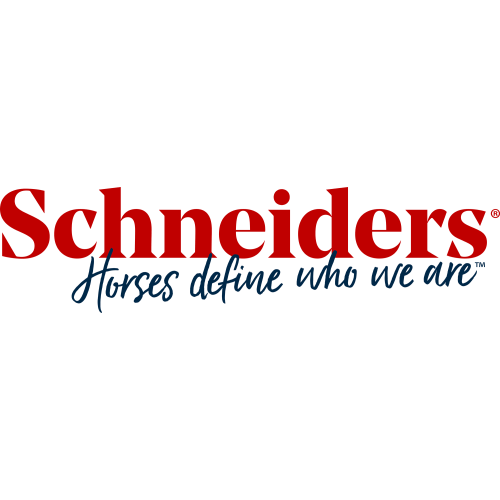 Kiddy Up Leadline Stirrups | Schneiders