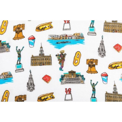 Philadelphia Baby Swaddle
