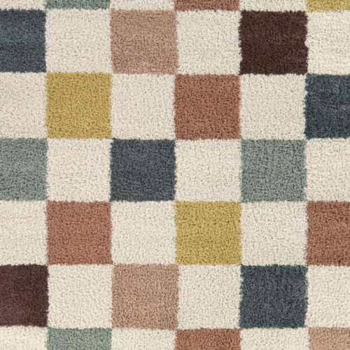 Cavalcanti Checkered Shag Area Rug