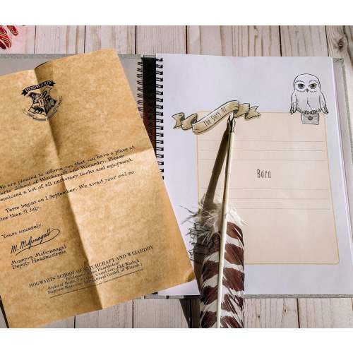 Harry Potter Little Keeper Baby Album – ConQuestJournals