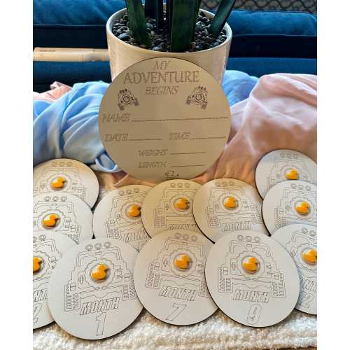 Jeep Themed Baby Milestone Discs - set of 12