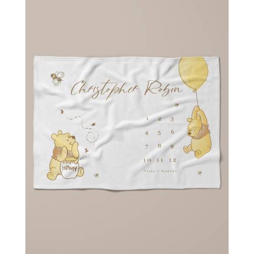 Baby Milestone Blanket, Winnie the Pooh Milestone Blanket , Personalized Baby Blanket, Month, Custom, Age, Growth, New Mom Baby Shower Gift