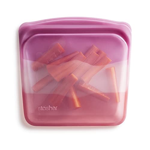 Stasher Premium Silicone Reusable Food Storage Sandwich Bag, Coral Triangle | Microwave, Sous Vide, Dishwasher, Oven and Freezer Safe | BPA Free, Leak-free, Eco-friendly, 28 Oz