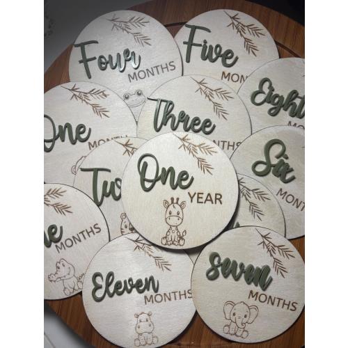 Safari Monthly milestone discs, hello world sign, baby announcement 1-12 baby month markers, wooden milestone cards