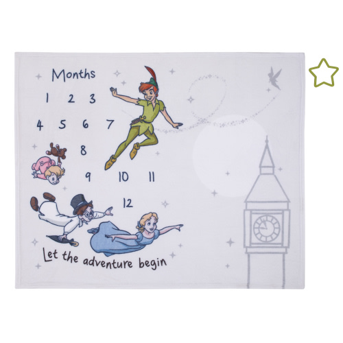 Disney Peter Pan Photo Op Milestone Baby Blanket