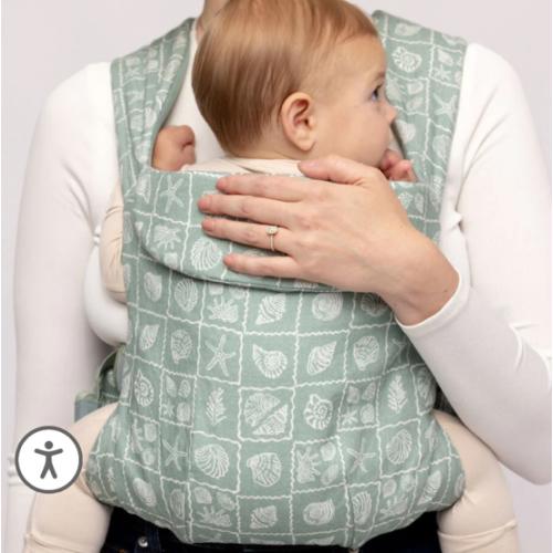 Desert Lark - Aerial Carrier – WildBird