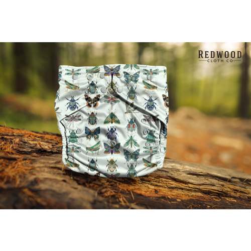 Entomology Collection **PREORDER** June Bugs