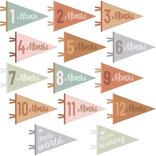 14PCS Felt Baby Monthly Milestone Banners Milestone Signs Pennant Flags Triangle Banner Age Flag Signs Newborn Photos Prop Supplies for Boy Girl First Year Birthday Baby Shower Decor Assorted Color