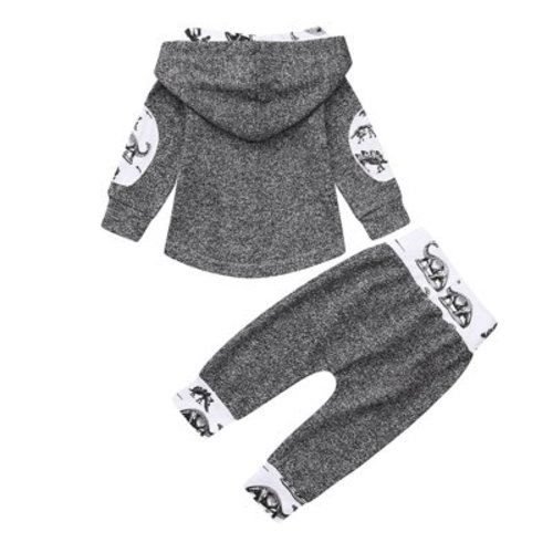 TAIAOJING Fall/Winter Baby Boy Girl Clothes Dinosaur Print Hoodie Pullover Tops+Pants Set Bodysuit Outfits 12-18 Months