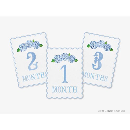 Blue Hydrangea Scalloped Monthly Milestone Cards | By the Month Baby Photos | Newborn Milestones | Preppy Baby Gift | Watercolor Memory Book