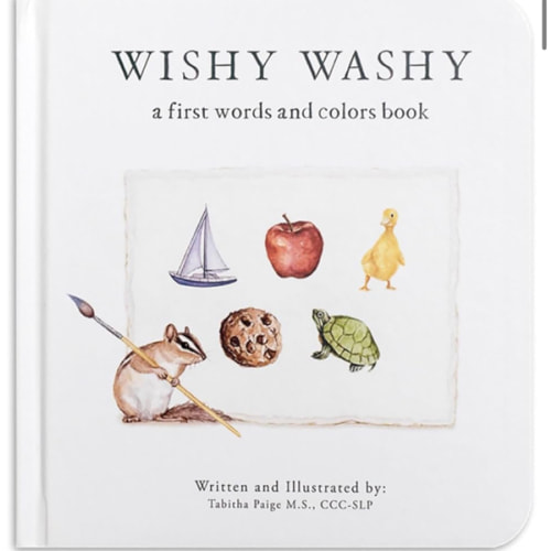 Wishy Washy: A Board Book of First Words and Colors for Growing Minds