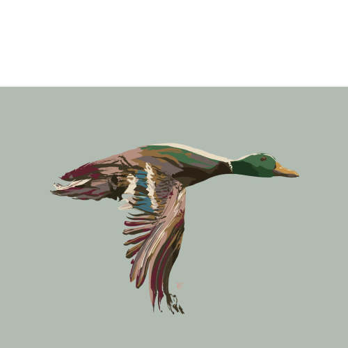 Mallard Duck Painting Print