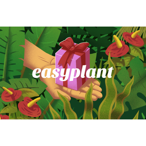 Easyplant Gift Card