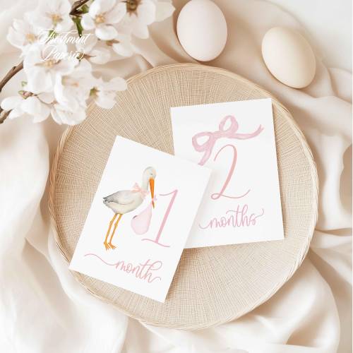 Girl Milestone Cards | Milestone cards | Stork | Baby Gift | New Mom | Baby Shower | Baby Month Cards | Memories | Children's Photo Props