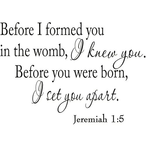 Before I Formed You in The Womb I Knew You. Before You were Born, I Set You Apart. Jeremiah 1-5 Vinyl Wall Art Religious Home Decor Bible Scripture Quote Nursery Wall Decal
