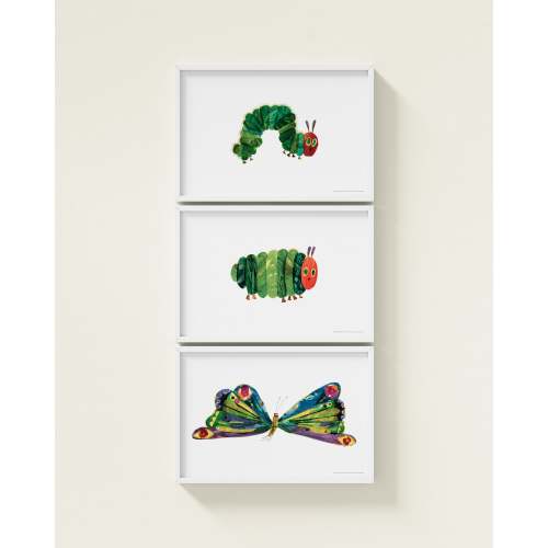 A Beautiful Butterly! Framed Wall Art Set | Eric Carle x Nestig