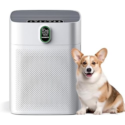 MORENTO Air Purifiers for Home Large Room up to 1076 Sq Ft with PM 2.5 Display Air Quality Sensor for Pet Hair, Double-Sided Air Inlet, 24db, White, 1 Pack + 2 Pack Filters