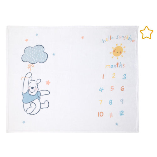 Disney NoJo Disney Winnie the Pooh White, Yellow, and Aqua Super Soft Milestone Baby Blanket | Wayfair