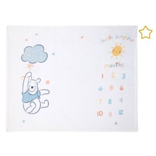 Disney Winnie The Pooh Super Soft Milestone Baby Blanket