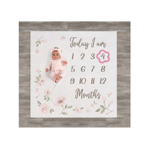 Modern Moments By Gerber Baby Girl Milestone Blanket & Frame Set, 2-Piece, Pink