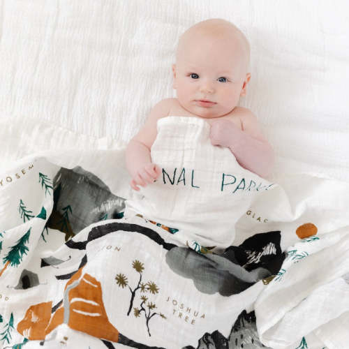 National Parks Swaddle Blanket