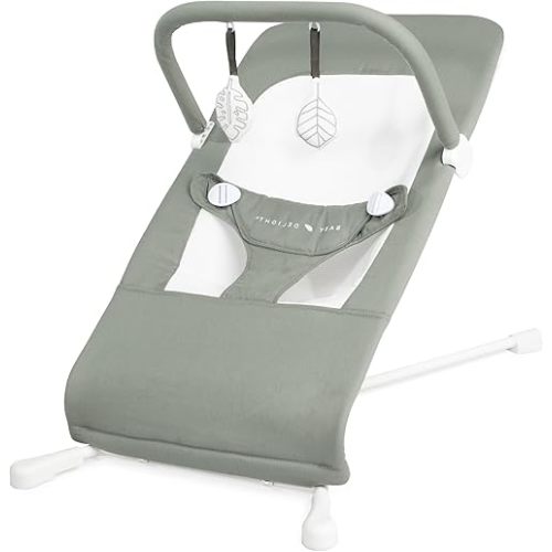 Baby Delight Highland Organic Baby Bouncer | Infant | 0 – 6 Months | 3-Position Recline | Organic Sage