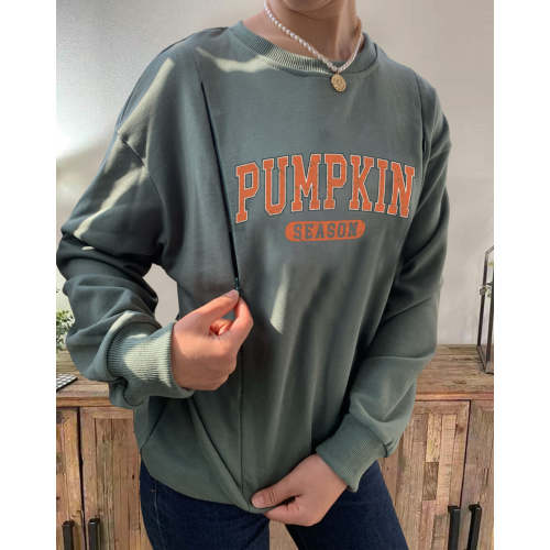 Pumpkin Season Nursing Sweatshirt