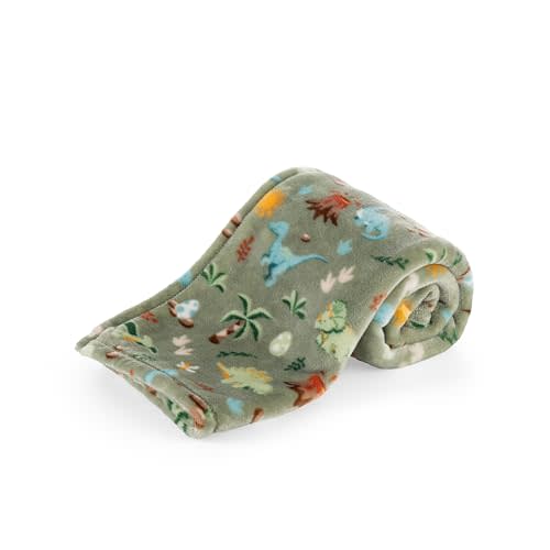 Berkshire Velvetloft Baby Blanket  Warm Fleece Nursery Throw, Toddler Blanket for Crib, Stroller, and Travel, Ideal Newborn Baby Gift, Autumn Dino Scene Simple Sage, 30 in x 40 in