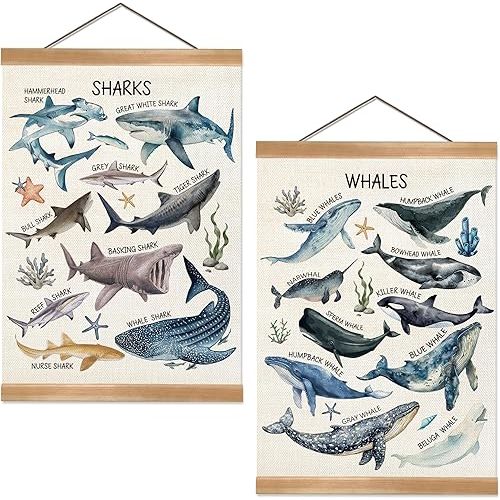 ZTGDA Sharks and Whales Posters, Sea Animals Shark Posters Wall Art,Marine Sharks Decor,Ocean Educational Poster for Kid Classroom Decorations Kids Room Home Nursery Playroom, Set of 2(Shark -1)