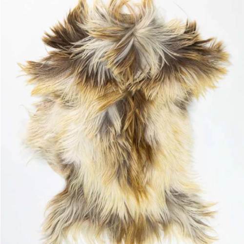 Goat Skin