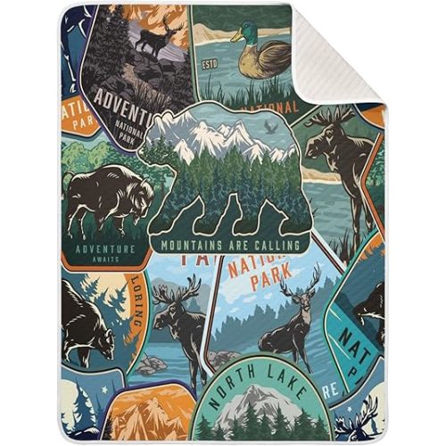 Baby Swaddle Blanket for Boys Girls Soft Warm Stroller Throw Blanket for Newborn Infant Toddler 30X40in National Park Colorful Vintage Pattern
