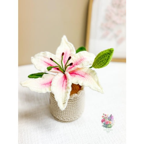 Handmade Crochet White Lily in Pot – Mini Crochet Flower in Pot — Elegant Floral Decor & Thoughtful Gift