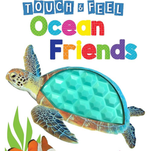 Ocean Friends - Touch and Feel Board Book - Sensory Board Book