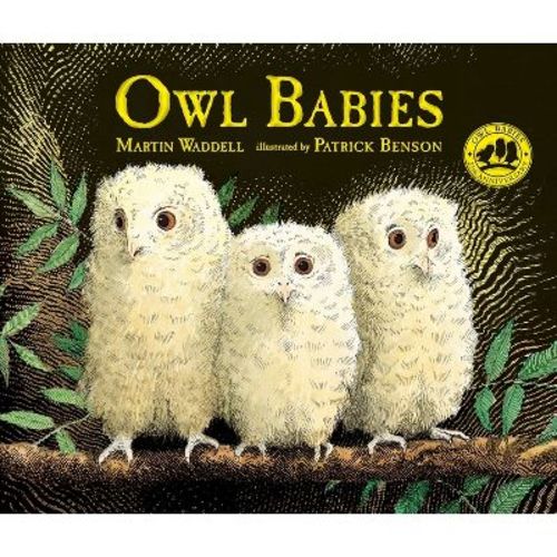 Owl Babies - by Martin Waddell (Hardcover)