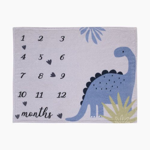 NoJo Baby Baby Milestone Blanket - Grey
