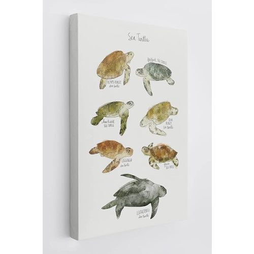 Ocean Animal Watercolor Sea Turtle Educational Chart Wall Art Canvas Farmhouse Sea Turtle Theme 11x14 Inch Prints Decor For Home Bedroom Living Room Classroom Library Dorm,Gift For Sea Life Lover