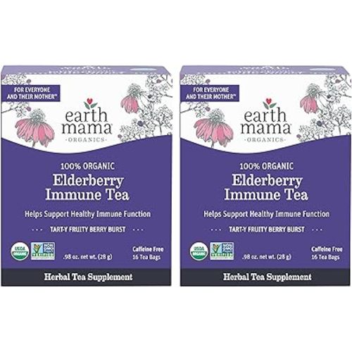 Earth Mama Organic Elderberry Immune Support Tea with Echinacea | Safe for Pregnancy, Breastfeeding, Postpartum, Kids and Family Essentials, Decaf Tea with Ginger & Rooibos, 16-Count (2-Count)